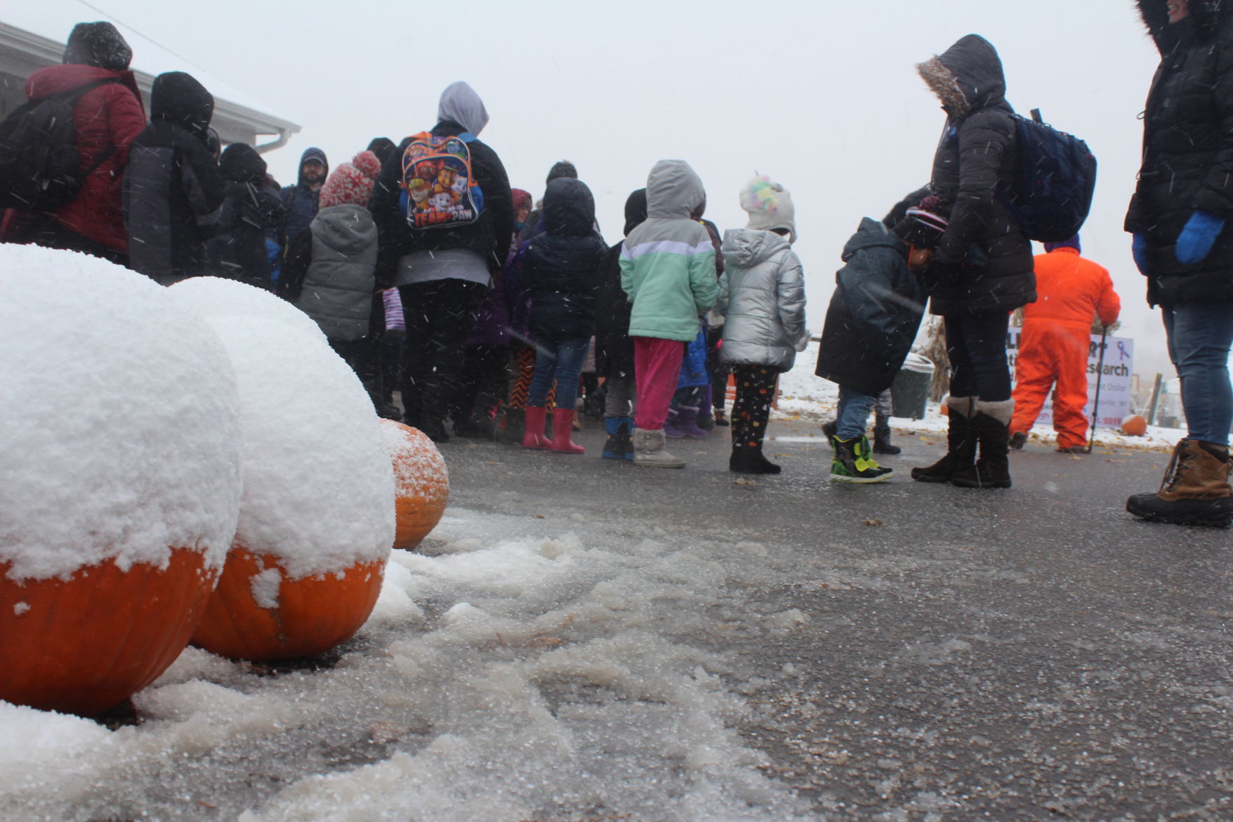 Snowy Halloween at Swan's Pumpkin Farm